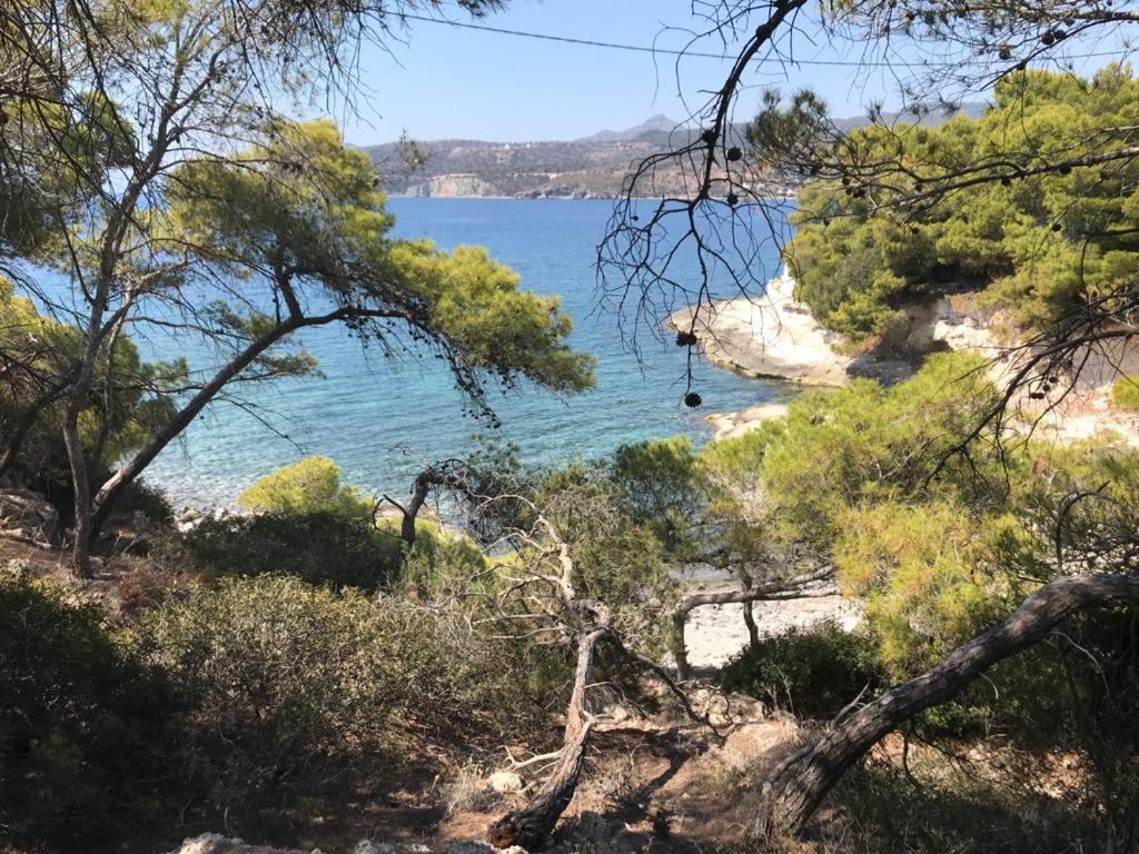 Ferienwohnung Vana Kavos Agia Marina  Exterior foto